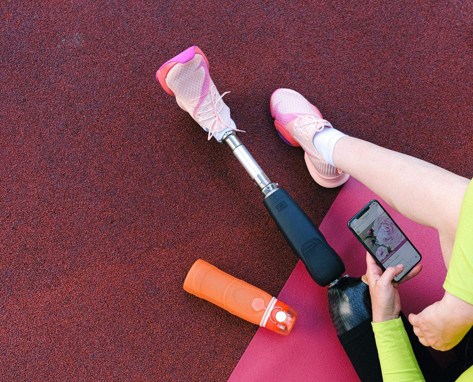 julia-simon-evolution